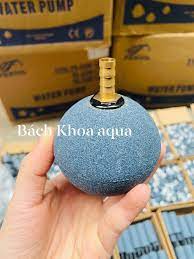Qủa sủi tròn đại cút đồng